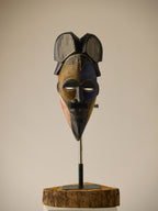 Long Face Gabon